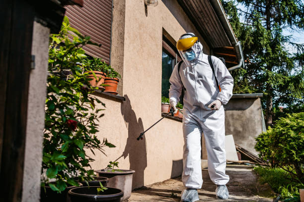 Best Affordable Pest Control Services  in Lechee, AZ