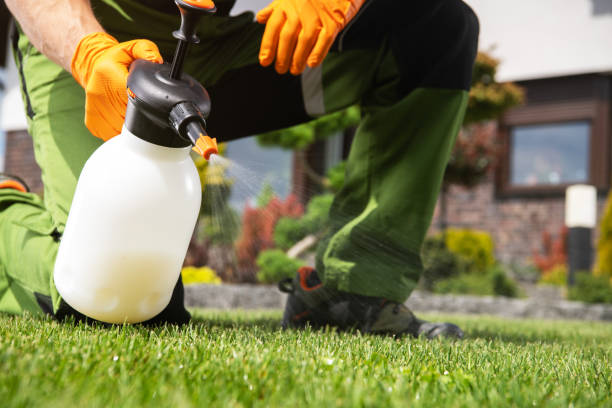 Trusted Lechee, AZ Pest Control Experts