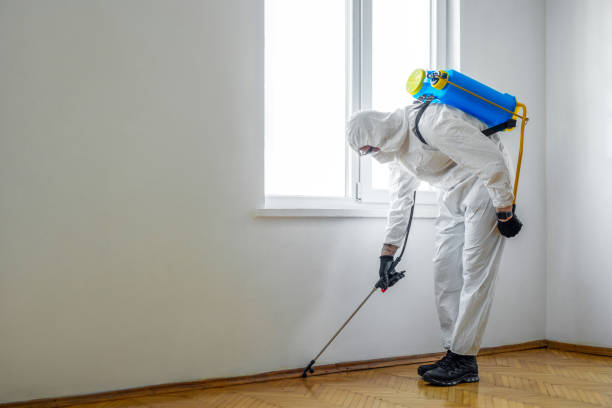 Best Local Pest Control Services  in Lechee, AZ