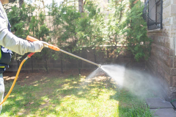 Best Mosquito Control Services  in Lechee, AZ