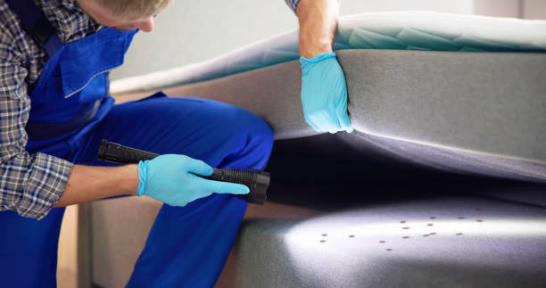 Best Flea Control Services  in Lechee, AZ