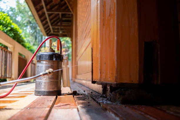 Best Best Pest Control Companies  in Lechee, AZ