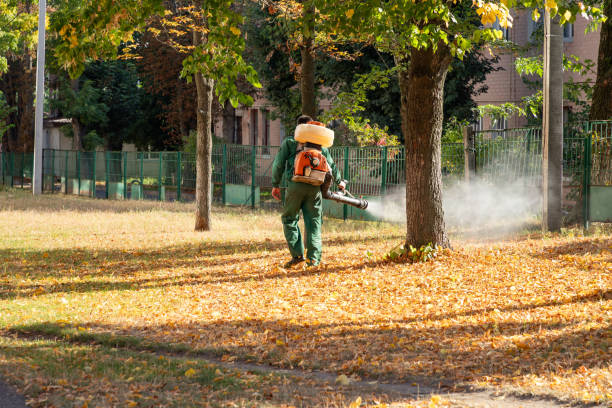 Best Bed Bug Extermination  in Lechee, AZ