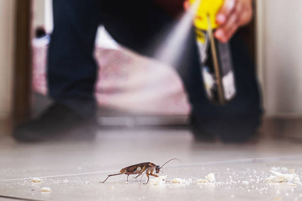 Reliable Lechee, AZ Pest Control Solutions