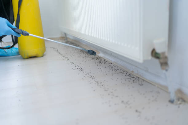 Best Pest Removal Services  in Lechee, AZ