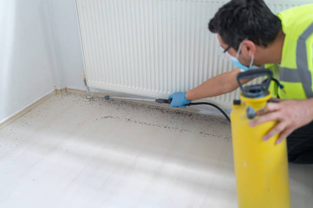 Best Insect Control  in Lechee, AZ