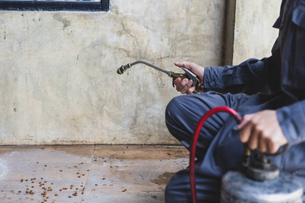 Best Wasp Removal Services  in Lechee, AZ